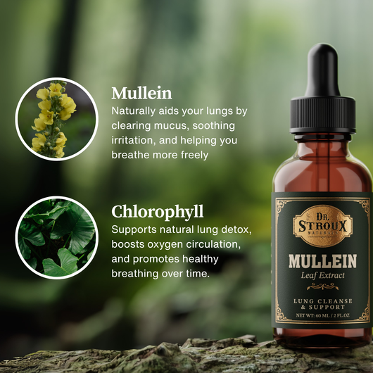 Mullein + Chlorophyll Lung Detox