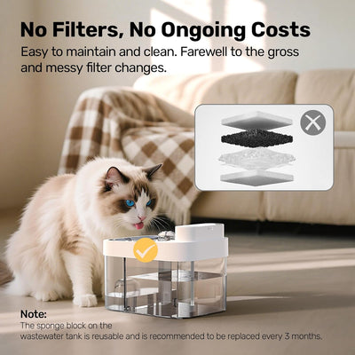 Cat Water Fountain
